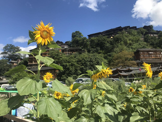 1543301485882702.png image.png