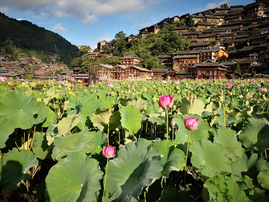 1543301497334807.png image.png